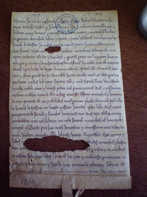 Charter of 'Robert fitzErneis, nephew of Ralph Taisson', by which he grants land at Fontenay-le-Tesson (now St-Martin-de Fontenay, Calvados, cant. Bourguébus) to the nearby abbey of Barbery (1219).  Caen, AD Calvados, H 1661 (reproduced by permission of the Archives du Calvados).