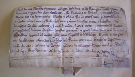 Juliana de St-Rémy confirms a gift of grain at Formigny (Calvados, cant. Trévières) to the abbey of Aunay and its priory of St-Nicolas <i> de Boeleia</i>, with the consent of her father Robert and for the souls of her mother Cecilia and brother Robert (undated, early 13th century).  Caen, AD Calvados, H 895 (reproduced by permission of the Archives du Calvados).